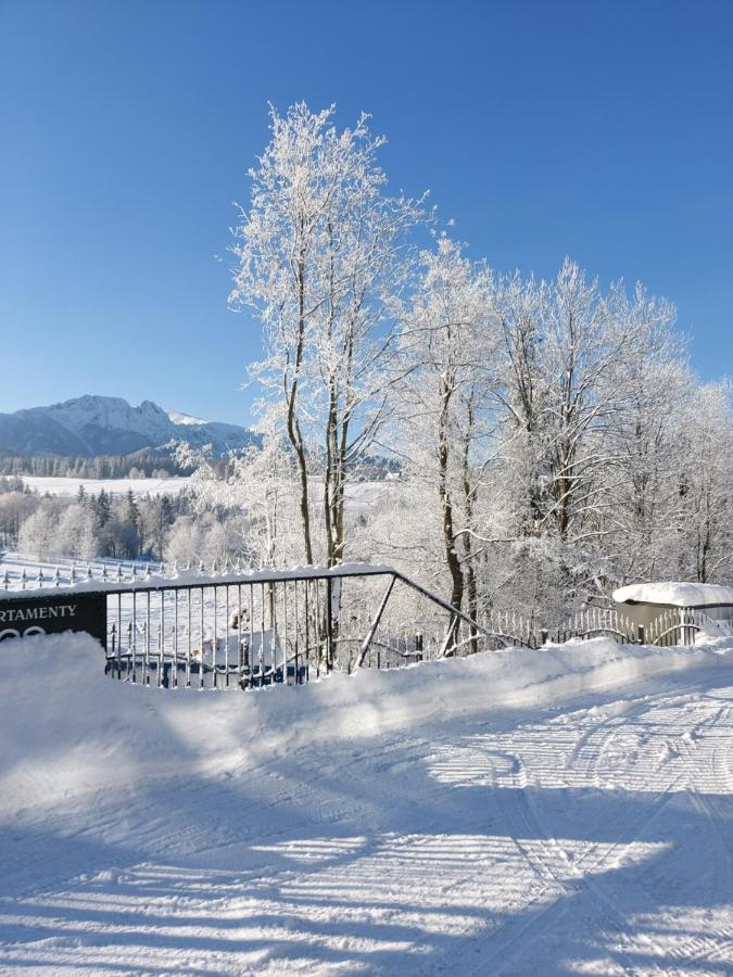 Apartamenty Bachledzki Wierch Zakopane Eksteriør bilde