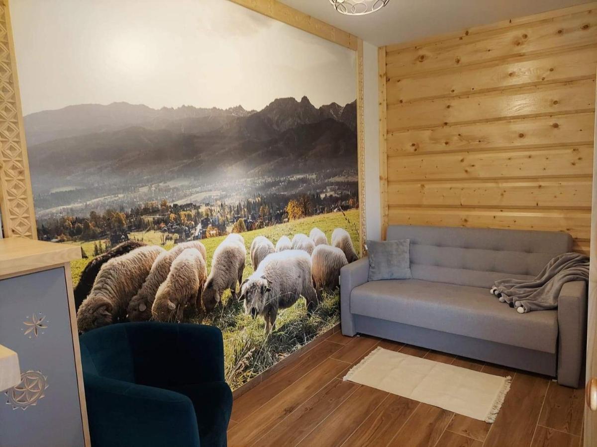 Apartamenty Bachledzki Wierch Zakopane Eksteriør bilde